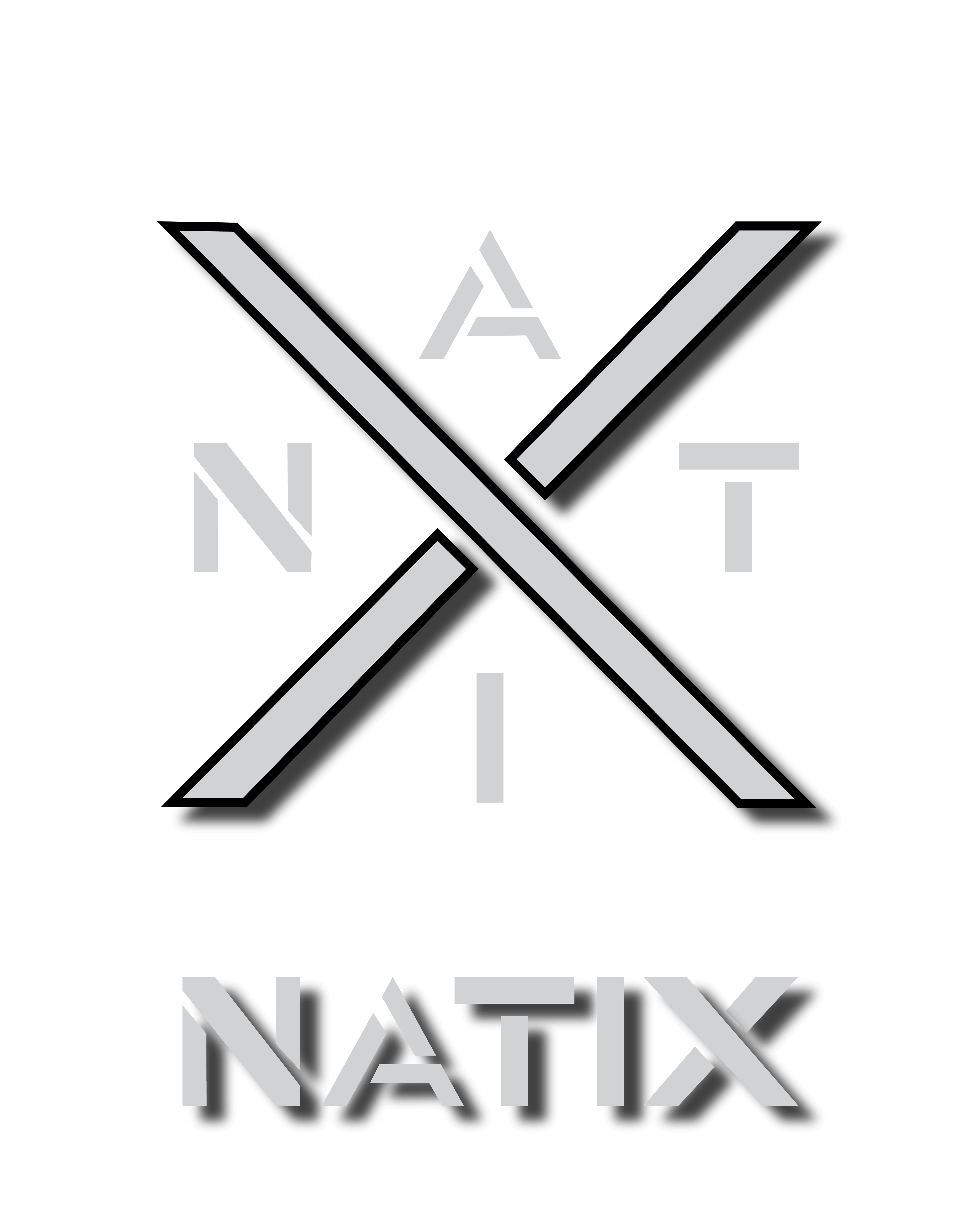 NATIX Logo